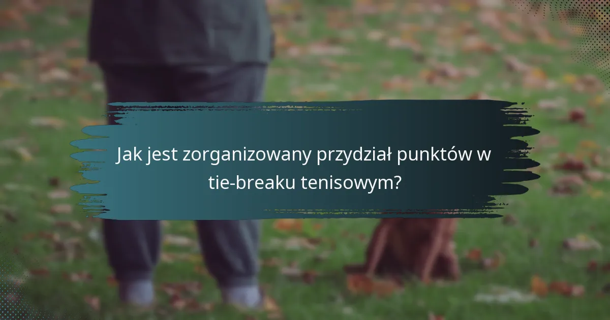 Jak jest zorganizowany przydział punktów w tie-breaku tenisowym?
