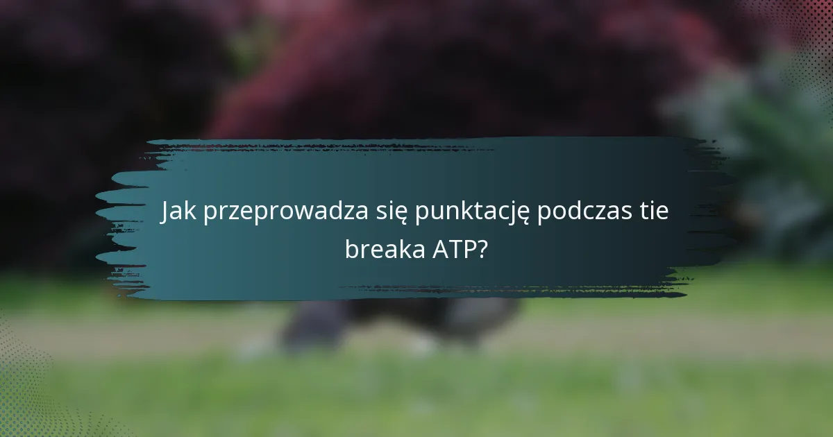 Jak przeprowadza się punktację podczas tie breaka ATP?
