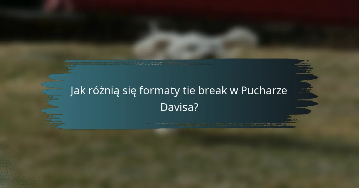 Jak różnią się formaty tie break w Pucharze Davisa?