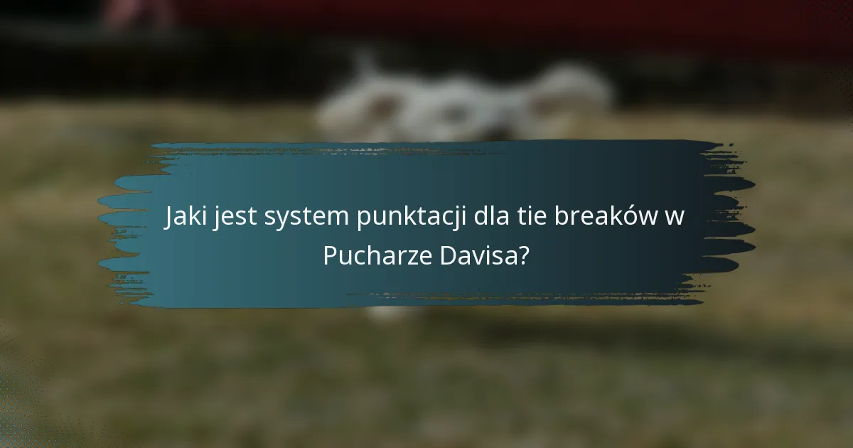 Jaki jest system punktacji dla tie breaków w Pucharze Davisa?